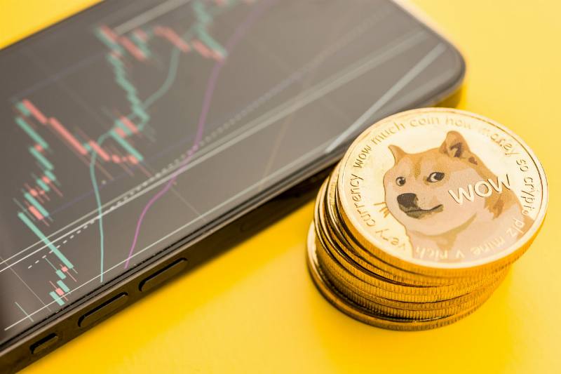 DOGE Price Hits Its First Real Test as Dogecoin Labs Launches
